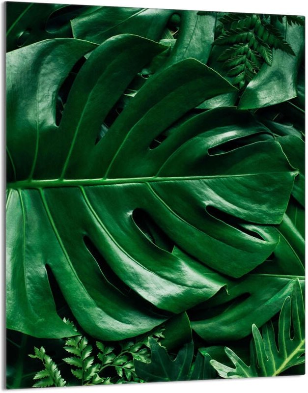 Glasschneidebrett 40x52 Monstera