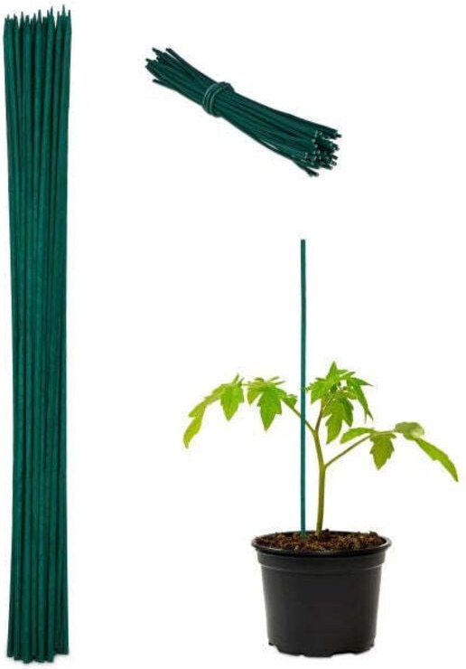 Blumenstabe 60 cm im 50er set
