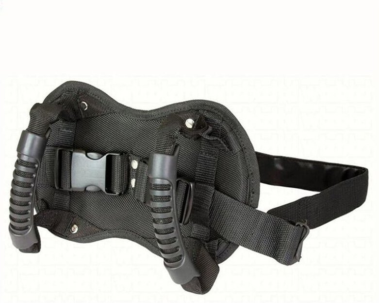 Kinder-Motorradgurt, rutschfester Beifahrer-Motorradgurt, stabiler Griff, verstellbare Motorradgurtstreifen, geeignet fü...