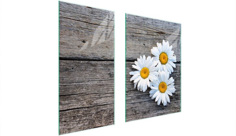 GLASSCHUTZPLATTE 75x52 DAISY