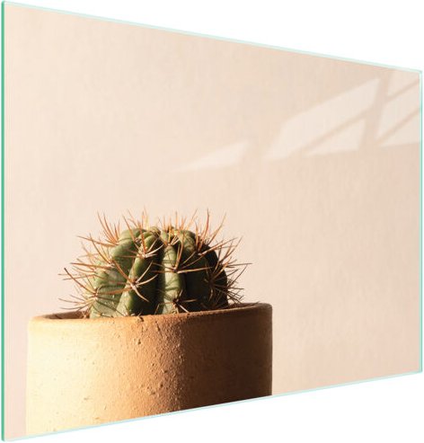 Glasschneidebrett 40x30 Kaktus