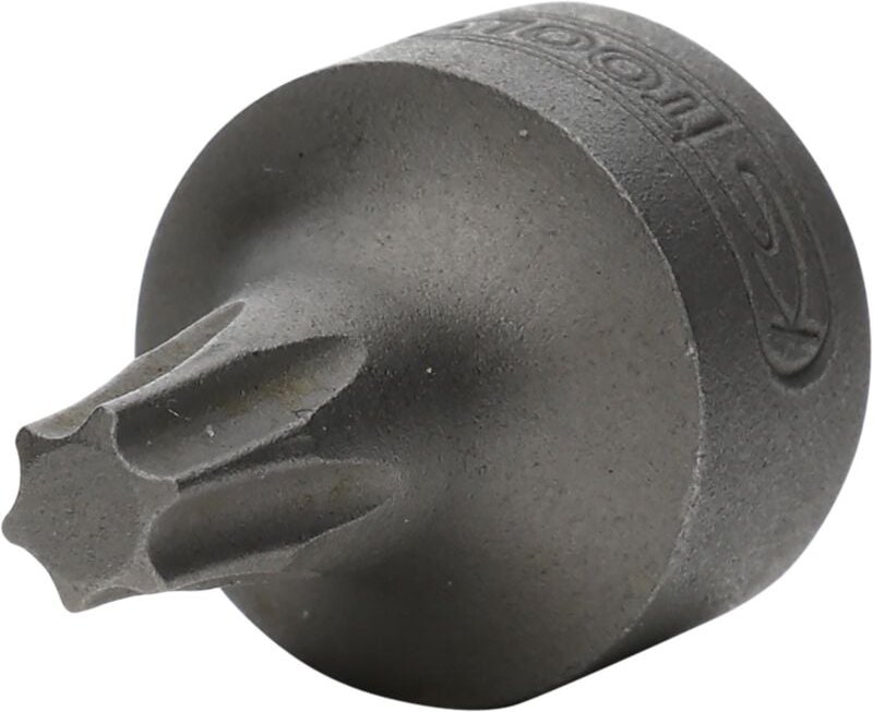 1/4" Bit-Stecknuss Torx, T25, extra kurz