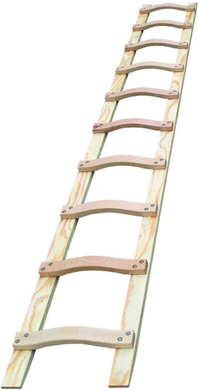 Mauderer Bavaria Holz Dachauflegeleiter 595 mit geschweiften Sprossen für sicheren Auftritt 10 Sprossen 3,00m Lang