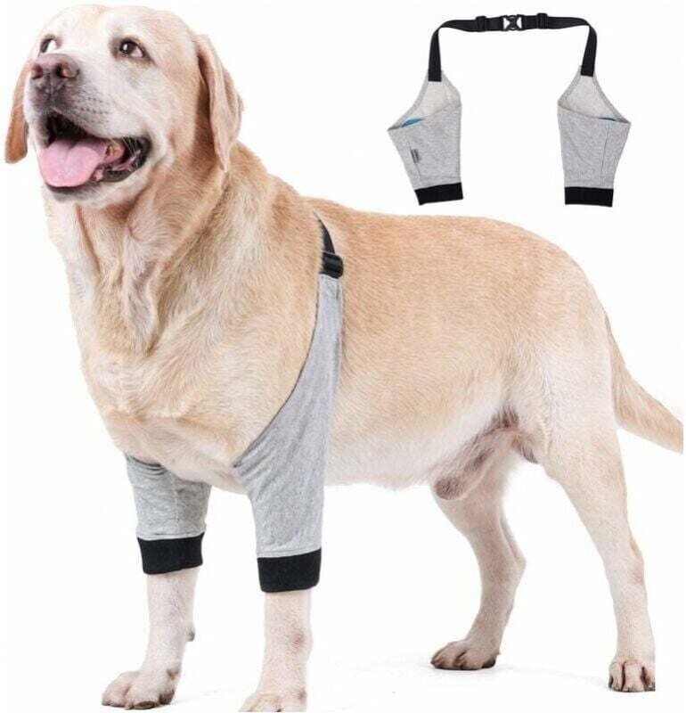 Grigio,M) Protezione per il gomito del cane Manicotto regolabile per la zampa anteriore Recupero da lesioni chirurgiche ...
