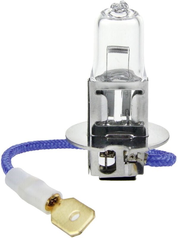 019353 Halogen Leuchtmittel H3 55 w 12 v - IWH