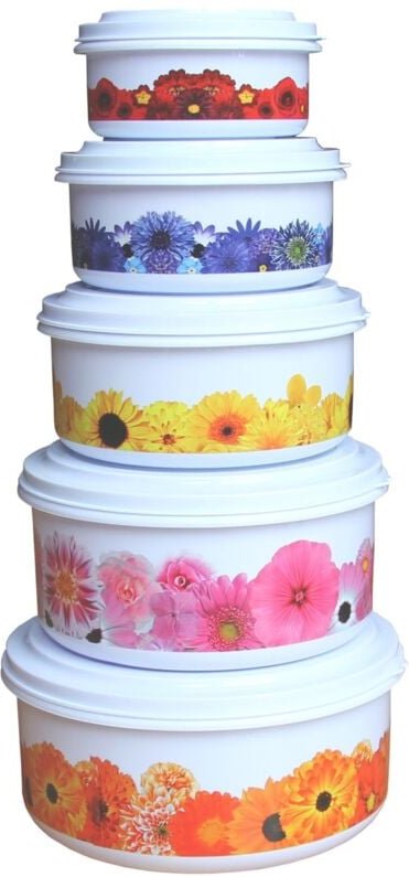 Buri - Vorratsdosen 5er-Set Mikrowellendosen Frischhaltedosen Aufbewahrungsdosen Dosen