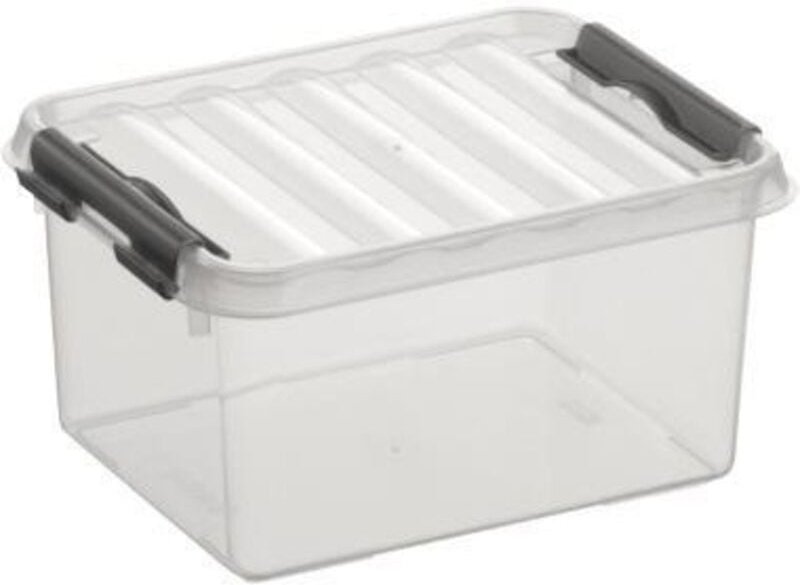 Sunware - Aufbewahrungsbox 2L transparent 20 x 15 x 10 cm Boxen, Körbchen & Kisten