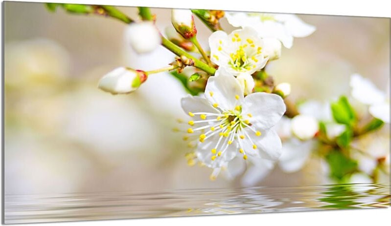 Glasschutzplatte für den Herd 90x52 Pflaume