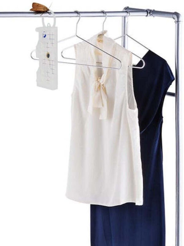 Geo kleidermotten klebepad tineola bisselliella