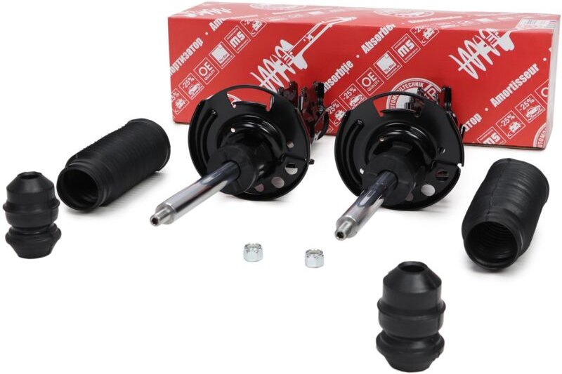 2 STOSSDÄMPFER vorne L+R FORD FIESTA VI (CB1, CCN)