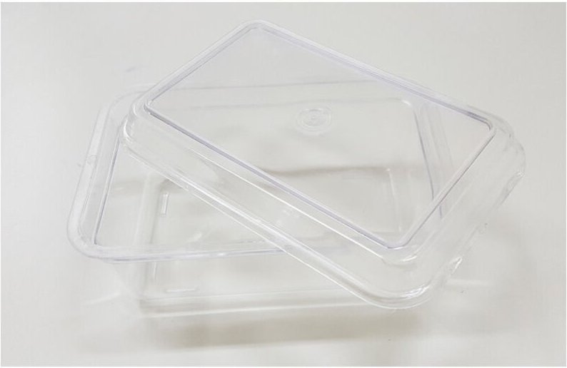 Trade Shop Traesio - Trade Shop - 4 vaschette vaschetta mit coperchieve 1 transparent plastics für torta -