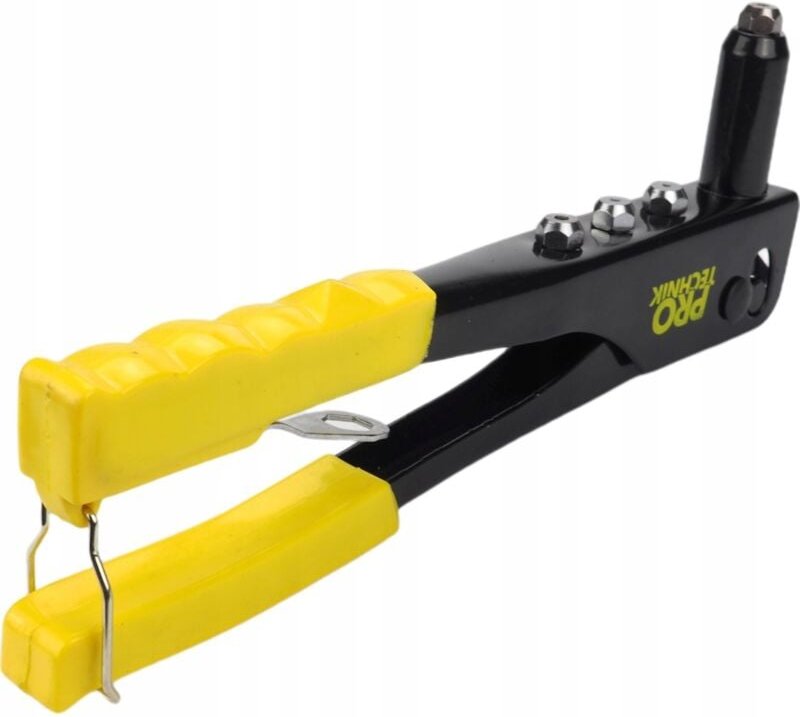 Gelber und schwarzer Niethammer