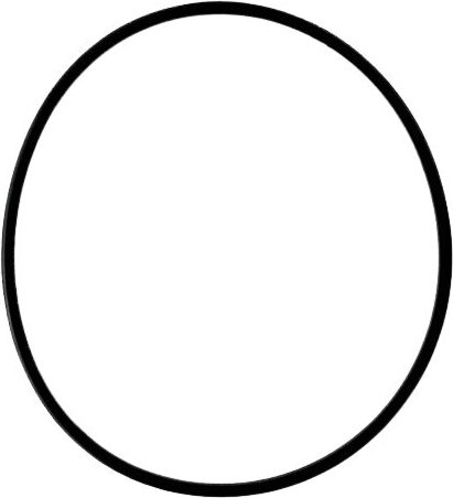 KONVERTERKOLBENDICHTUNG 115,57 mm x 3,17 mm x 2,03 mm 722,6 722,9