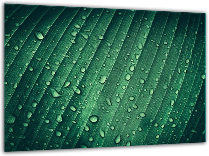 Glasscheidebrett MIT 30 x 22 Grun Gehärtet