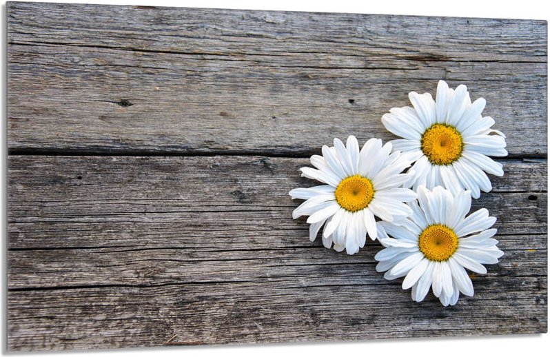 Glasschutzplatte für den Herd 80x52 Stokrotka