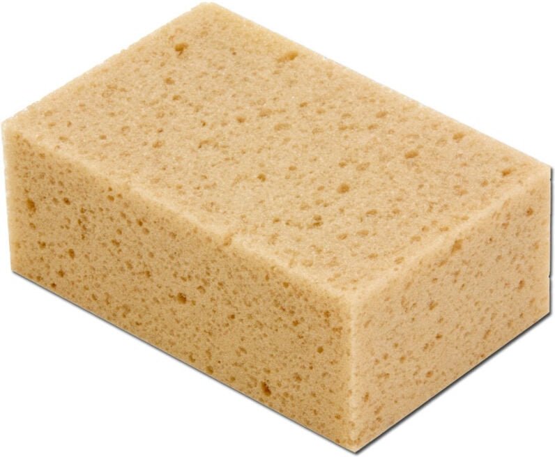 Einfacher Acorn-Schwamm CS12187S