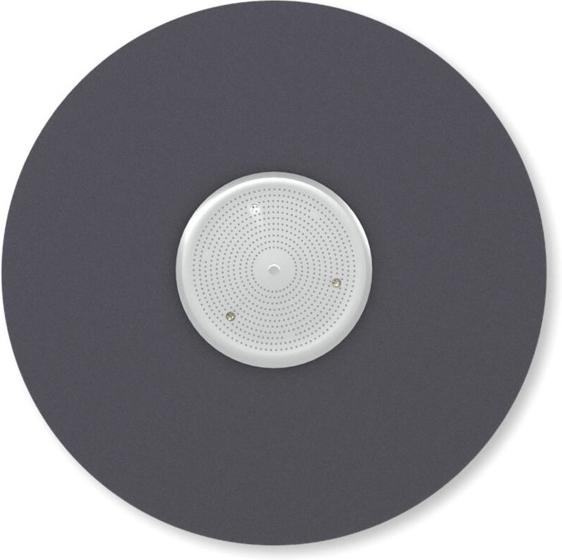 Treibteller für Schleifscheiben für Einscheibenmaschine Menzer esm 406