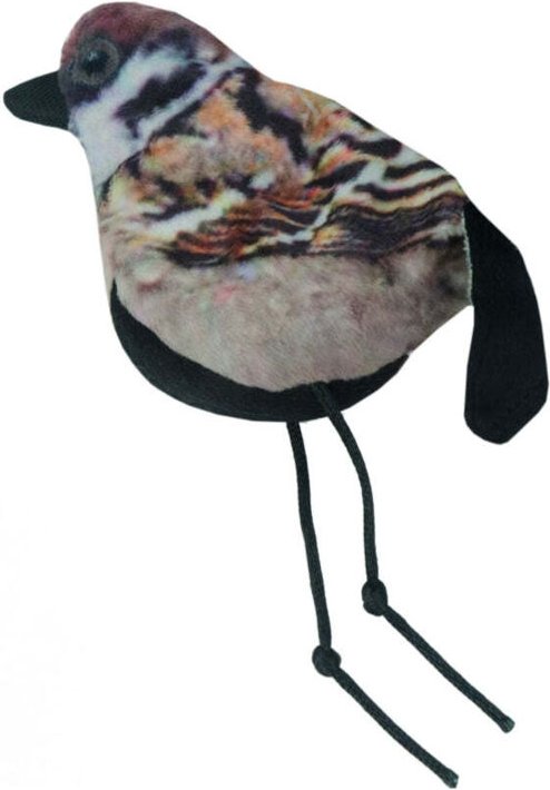 Wildleben katzensperling