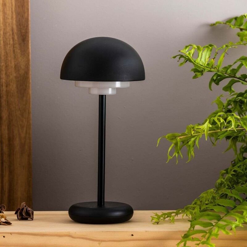Lari Schwarze tragbare Lampe