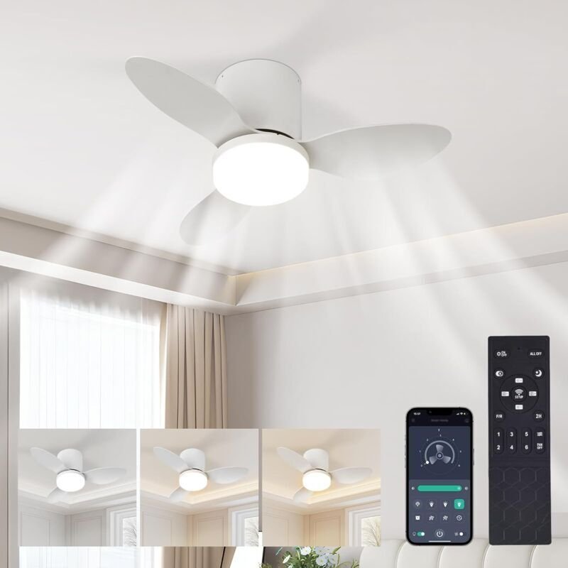 65 cm 60 W Deckenventilator mit Licht - 6-stufige, dimmbare LED-Deckenleuchte mit leisem Ventilator, reversiblem Gleichs...
