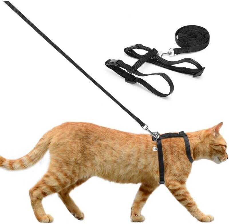 Katzengeschirr und Leine, verstellbares, ausbruchsicheres Katzengeschirr für Welpen, Kätzchen und Kleintiere