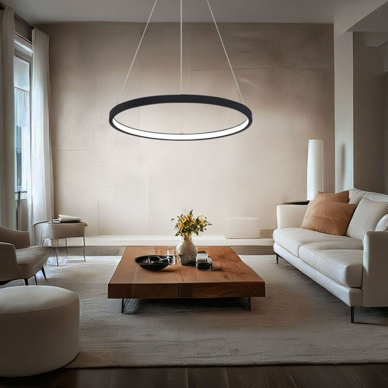 Hängeleuchte Pendelleuchte Ring rund LED Lampen Wohnzimmer hängend Modern, aus Metall in schwarz-matt opal, 1x LED 19W 8...