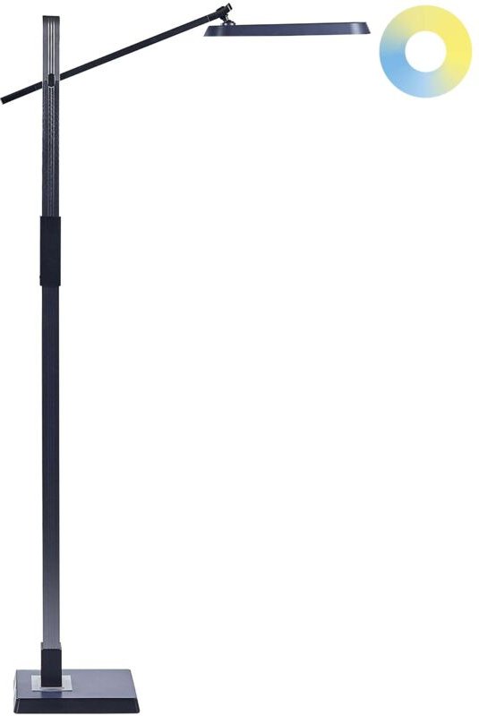 LED-Stehlampe Dunkelgrau Metall und Kunststoff 144 cm Dimmbar cct Verstellbarer Arm und Schrim Modern Bogenlampe Beleuch...