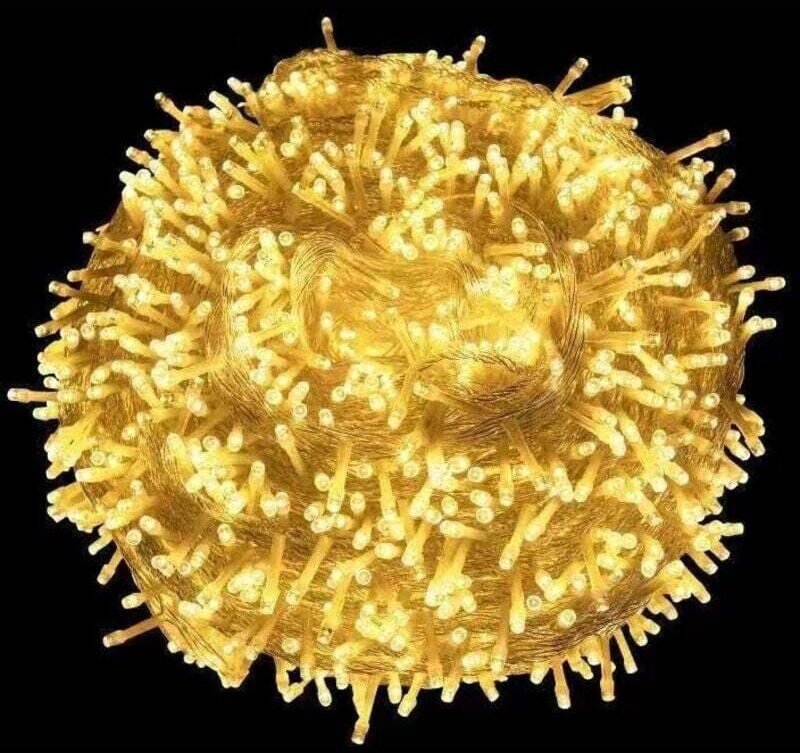 Weihnachtliche Lichterkette für den Außenbereich, warmweiß, 10 m, 100 LEDs, Weihnachtsdekoration, für drinnen und drauße...