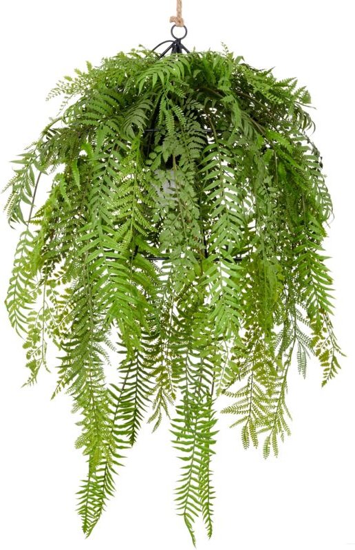 Deko Hängeleuchte Farnmix Grün 80x50cm mit E27 Fassung und 1,5m Zuleitung Kunstpflanze