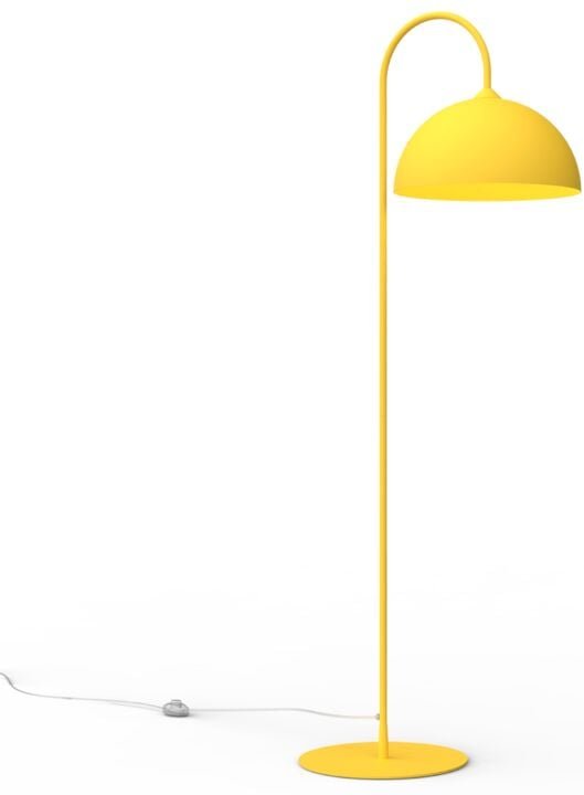 Cassis arco piantana opaco