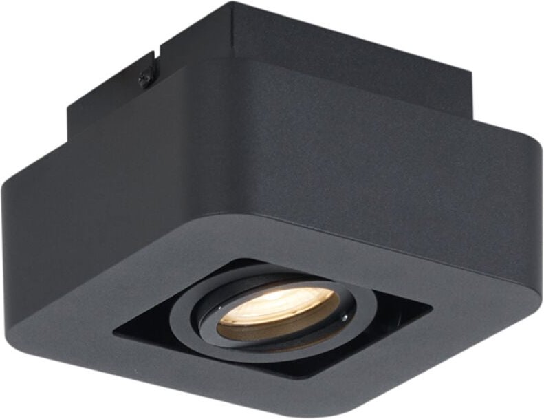 Abgerundeter Aufbaustrahler schwarz dreh- und schwenkbar - Dox