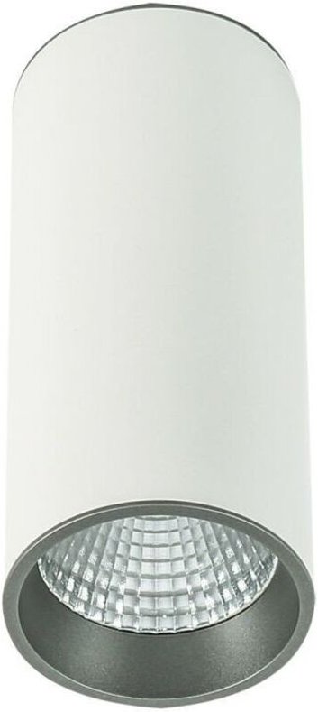 Moldes Big wh / gr Ceiling 3000K - Moderne technische LED-Oberflächenmontage Weiß, Grau, Warmweiß 3000K 820lm - Italux