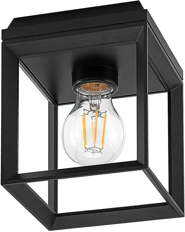 Cayla Deckenleuchte, Käfig, schwarz - Schwarz (ral 9005) - Arcchio