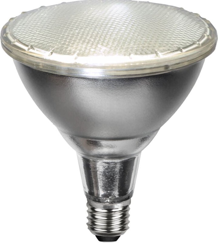 Star Trading - LED-Lampe E27 PAR38 Spotlight Outdoor, Silber, Neutralweiß, Außenbereich, IP65