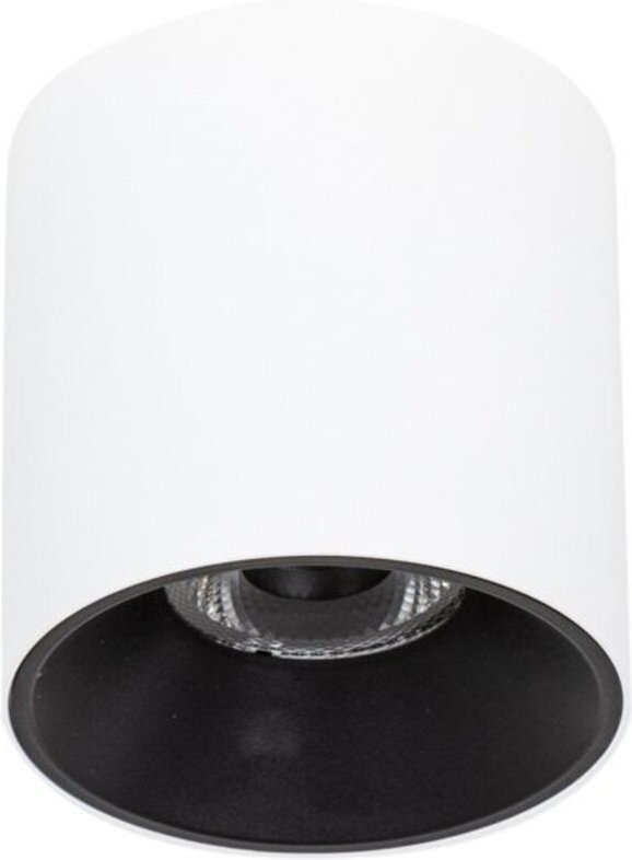 LED-Aufbauleuchte 15W ALTISMA CLN667795WHBL3K Italux