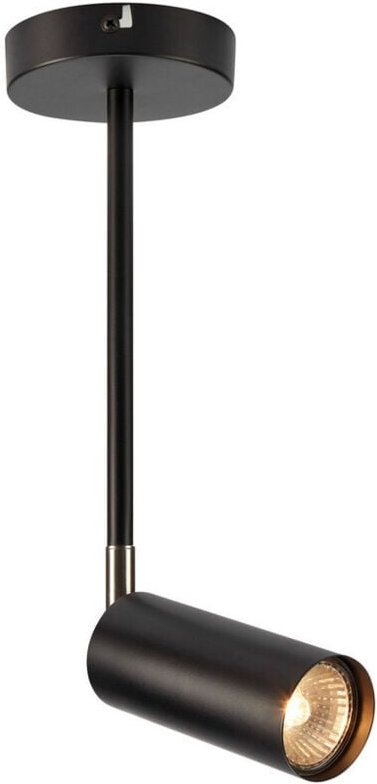 Torino Einzelner Deckenstrahler Schwarz - Markslojd