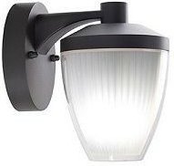 Wandleuchte in Basso E27 Graphit-Ficus-Linie