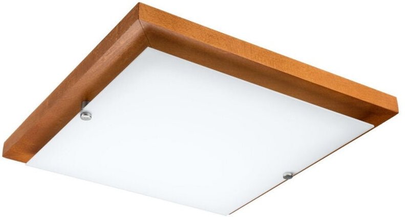 Lamkur Square Einfache bündige Deckenleuchte Rustikal