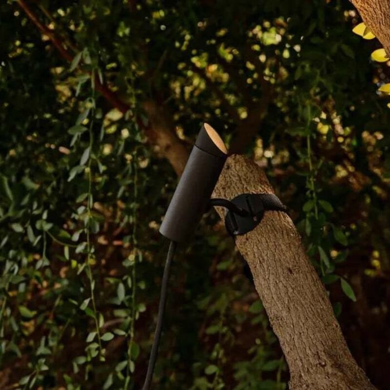 Clap Flutlicht-Baummontage schwarz 6W 3000K 38° 75703-233DR