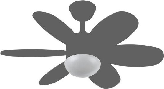 Fächerblatt Alves und Sofia