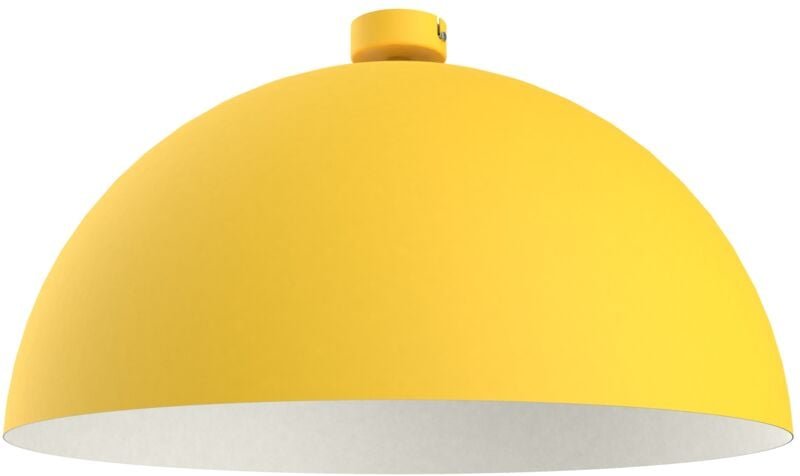 Cassis Plafoniera Bicolore Opaco