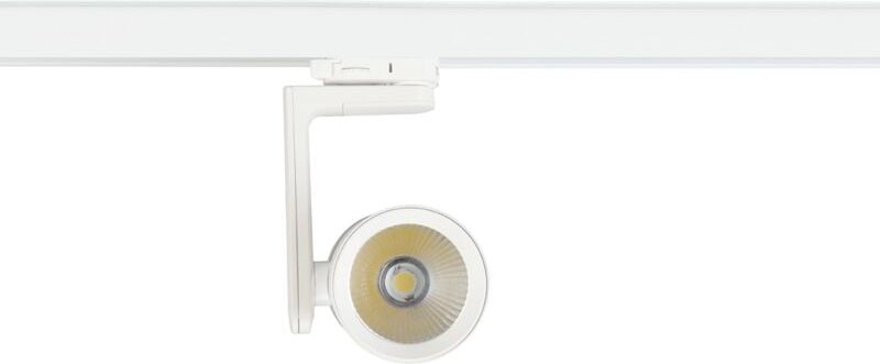 Strahler Timor 30W 2700/4000K Weiß 3 Schaltkreise