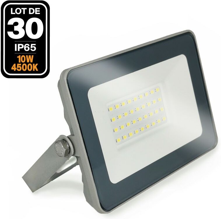 30 Projecteurs led 10W ProLine 4000K Haute Luminosité