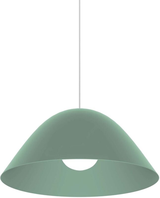 Spore sospensione monocolore