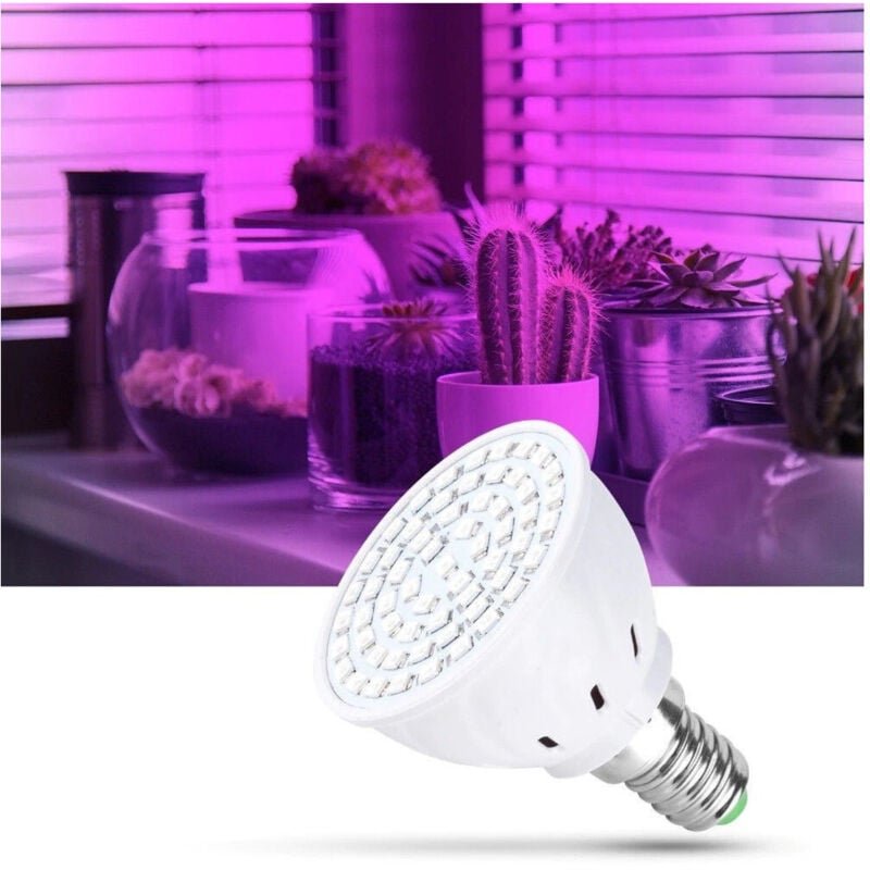 Trade Shop Traesio - Trade Shop - smd lampada 2W led smpadine fur verbesserung E14 E27 -