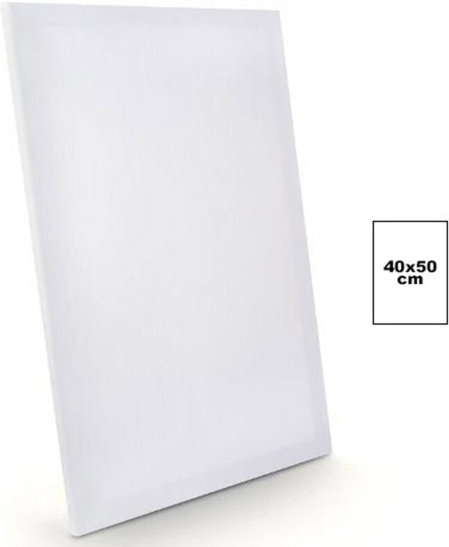 Trade Shop Traesio - Trade Shop - terms for canvas depending retails 40X50 cm artikel disegno art pittura -