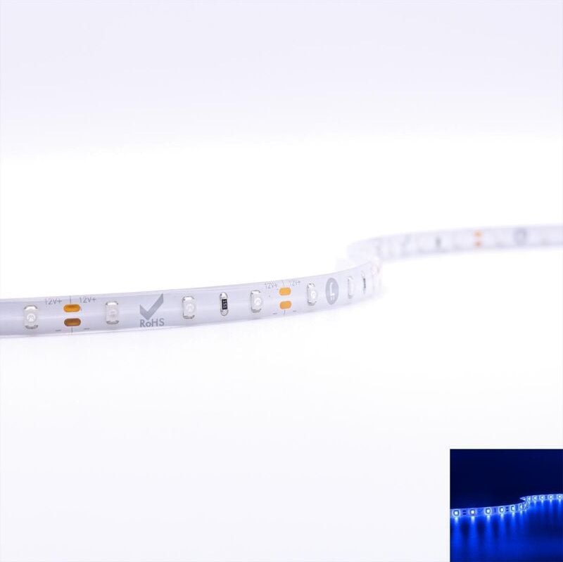 Thumbnail - Strip 12V LED Streifen 5M 4,8W/m 60LED/m 8mm - Lichtfarbe: Blau - Schutzart: IP65