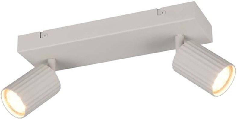 Deckenleuchte Deckenlampe Wohnzimmerlampe Metall grau 2-flammig schwenkbar L30cm