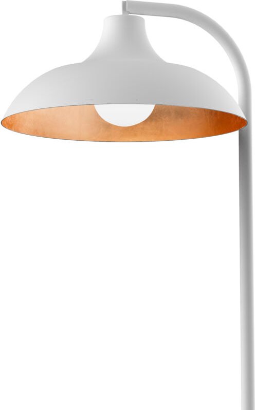 Parigina piantana foglia