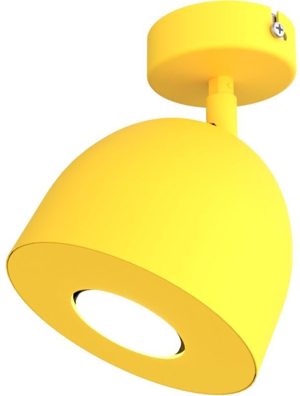 Campanella Deckenleuchte 1X Einfarbige Matt - Lumicom